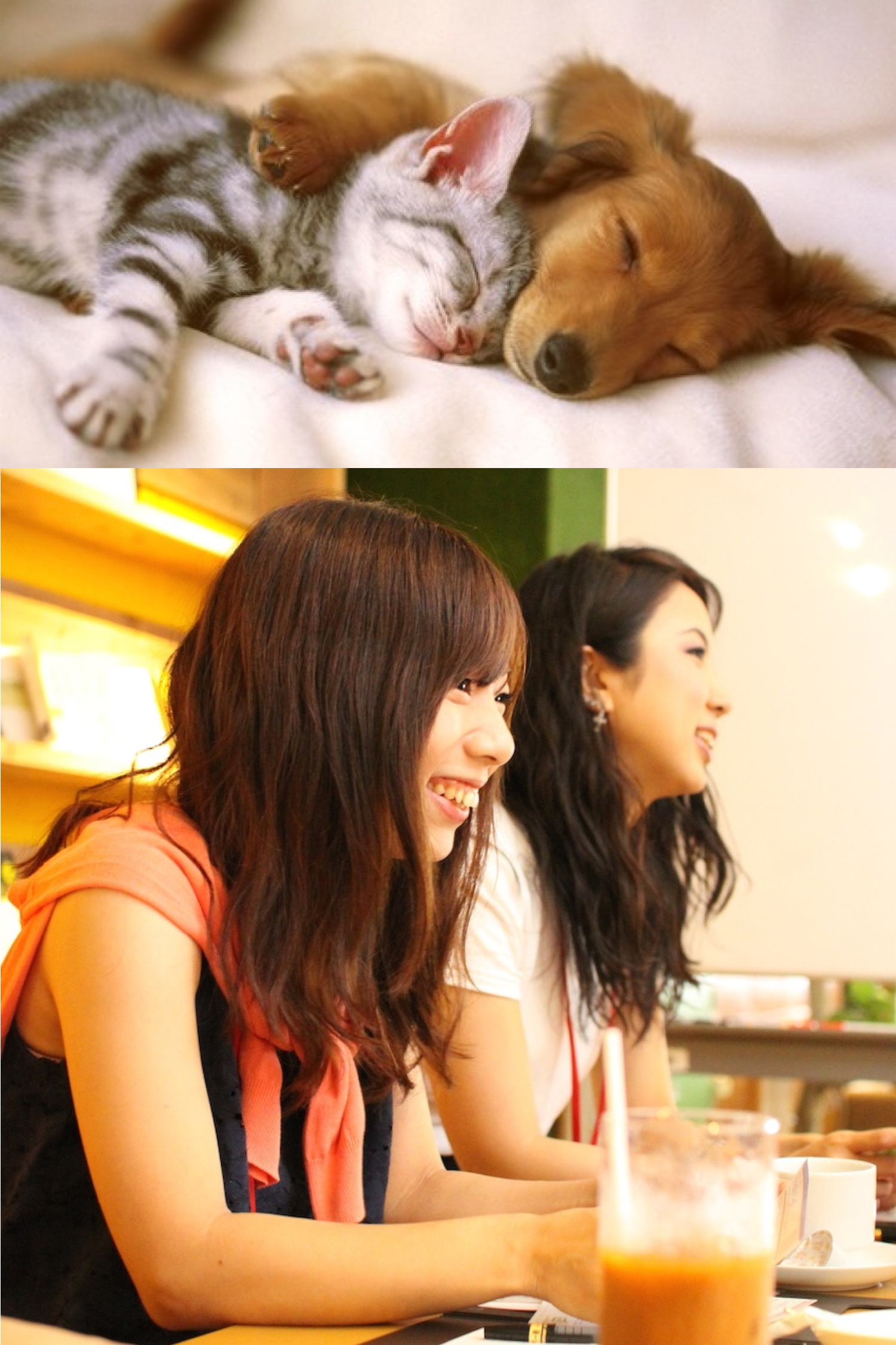 【cafeStyle】恋するテーマコン〜ペット好き♡編〜