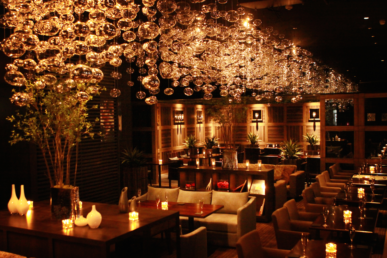 プレミアムステイタスwithデザートプレート