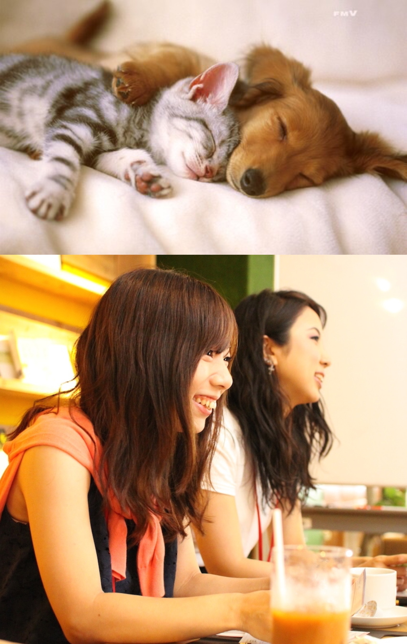  <お見合いStyle>恋する趣味コン♡ペット・動物好きのイメージ写真