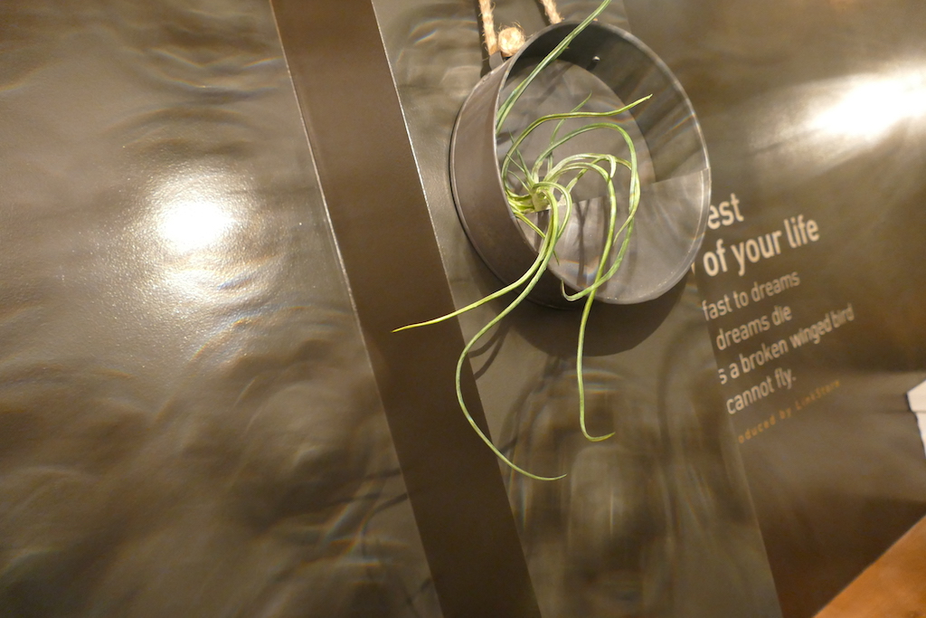 ＜CafeStyle＞大人の婚活♡実年齢より若く見える人限定♪